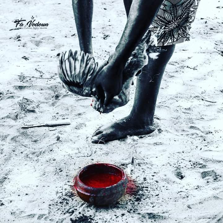 IMG-20210129-WA0142-1