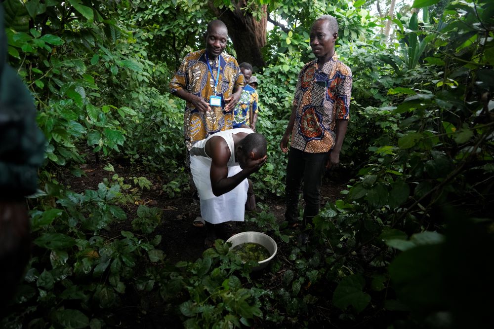 Sacred_Sites_Benin_Voodoo_Forests_23299488783407